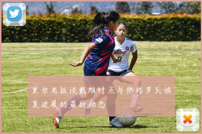 里尔老板谈戴维特点与热格罗瓦恢复进展的最新动态