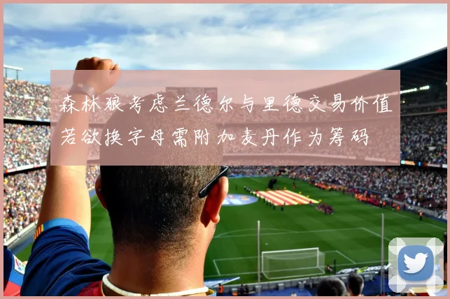 森林狼考虑兰德尔与里德交易价值若欲换字母需附加麦丹作为筹码