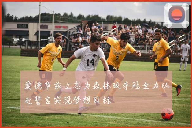 爱德华兹立志为森林狼夺冠全力以赴誓言实现梦想目标
