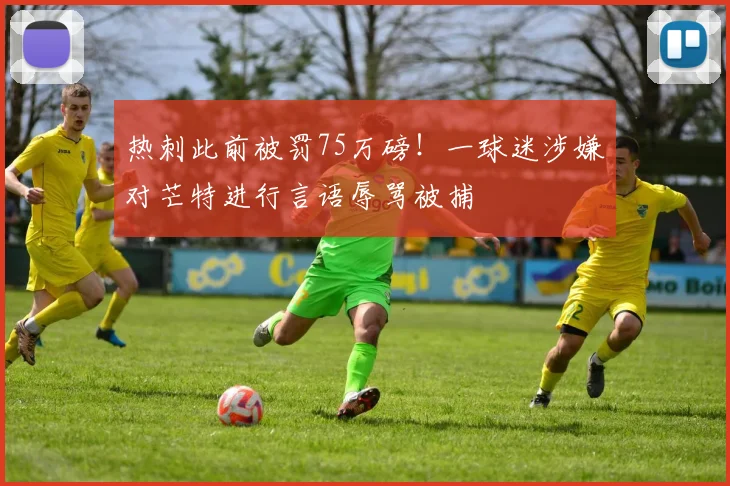 热刺此前被罚75万磅！一球迷涉嫌对芒特进行言语辱骂被捕