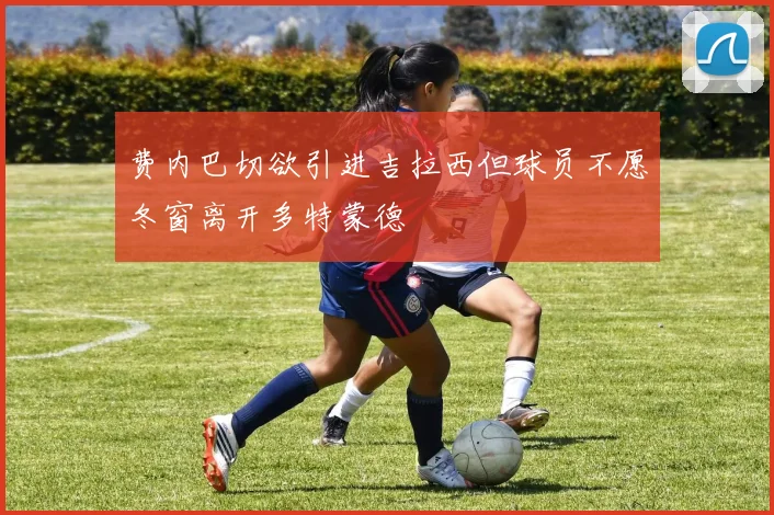 费内巴切欲引进吉拉西但球员不愿冬窗离开多特蒙德