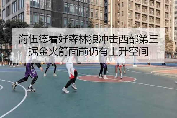 海伍德看好森林狼冲击西部第三 掘金火箭面前仍有上升空间
